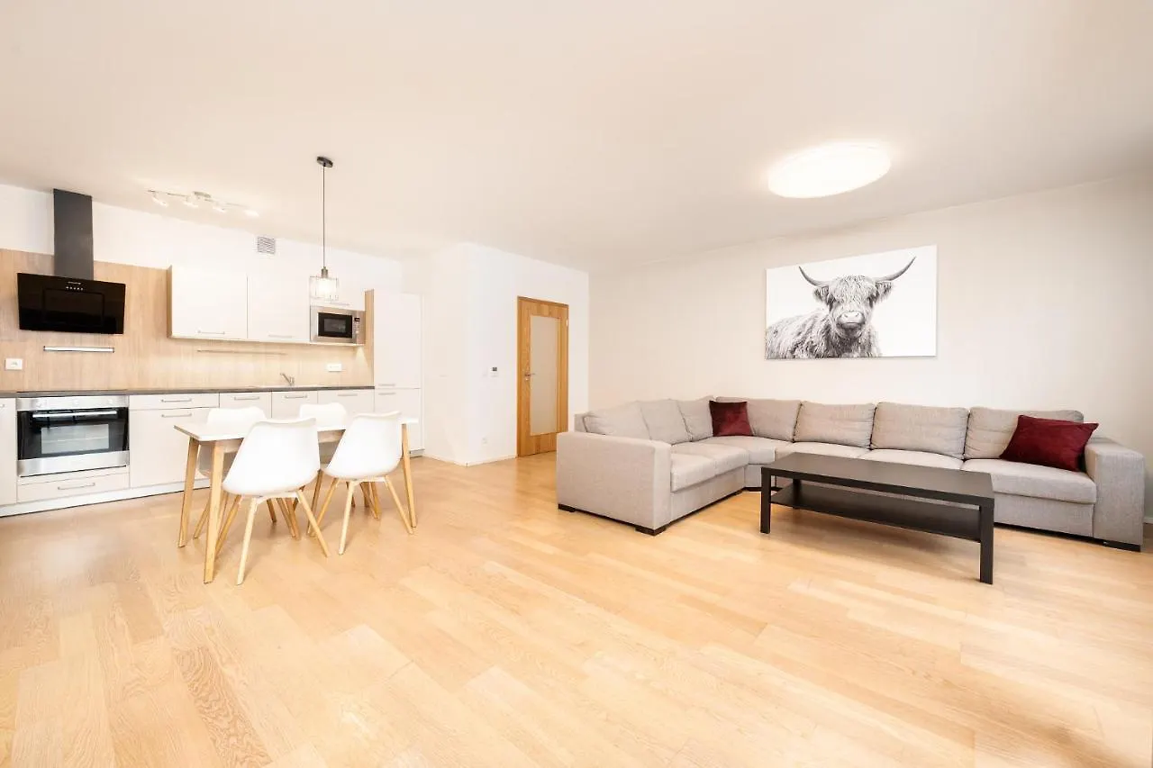 Mill Apartments Brno 0*,